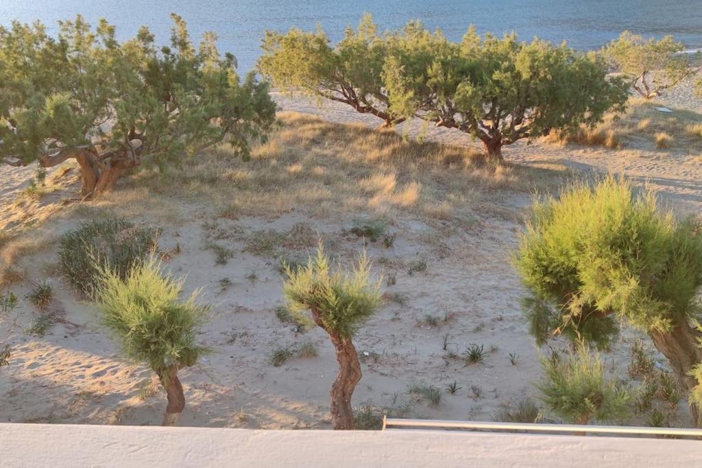 Aegean Dream House Villa Kamares  Eksteriør billede
